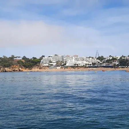 Timi's House - Espaçoso A 350 M Da E Centro Da Velha