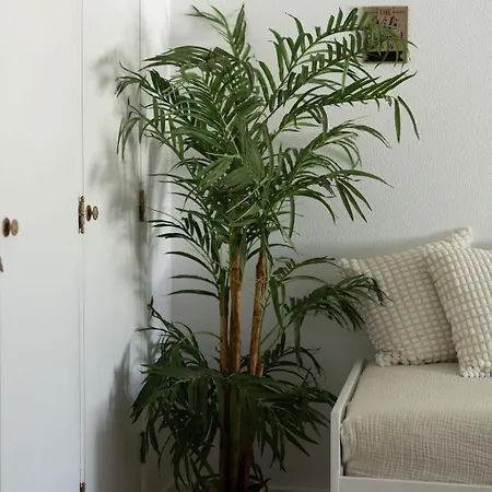 Timi's House - Espacoso A 350 M Da E Centro Da Velha アパート *